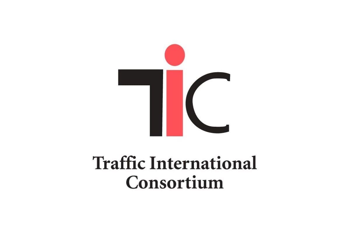 TIC Traffic International Consortium (S) Pte. Ltd. full logo